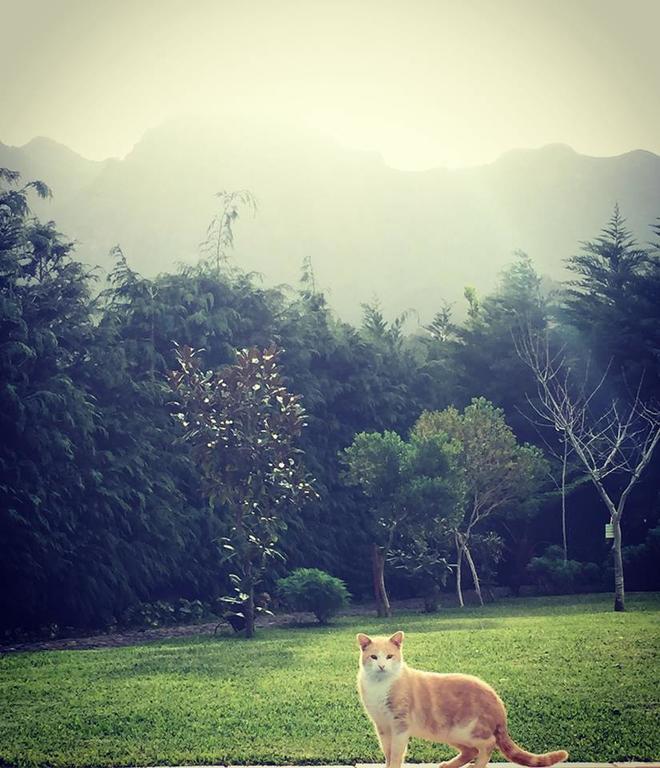 Villa Casa da Portada São Vicente Esterno foto